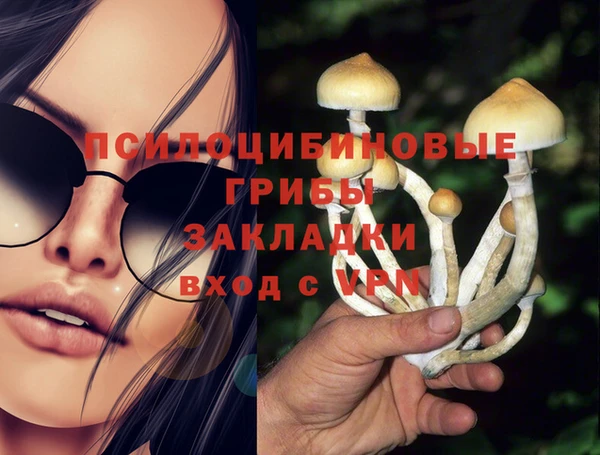 сатива Абаза